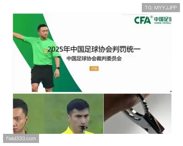 裁判报告在足球比赛中对判罚细节与规则执行的重要记录作用